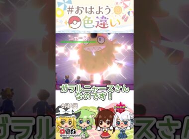 ☀️戦闘民族！！色違いガラルニャース🏴‍☠️✨2026年8月8日 #おはよう色違い #おは色 #ポケモン