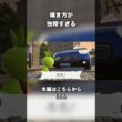 フォッコ、今なんて言った？😂　 #ポケモン #切り抜き #ゲーム実況 #とと #pokemon #Pokemon Legends Z-A