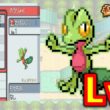 【HGSS】キモリLv1が最初のポケモンだったらハートゴールドは天国！？地獄？？ポケモン1匹縛りプレイ!！キモリきみに決めた!!