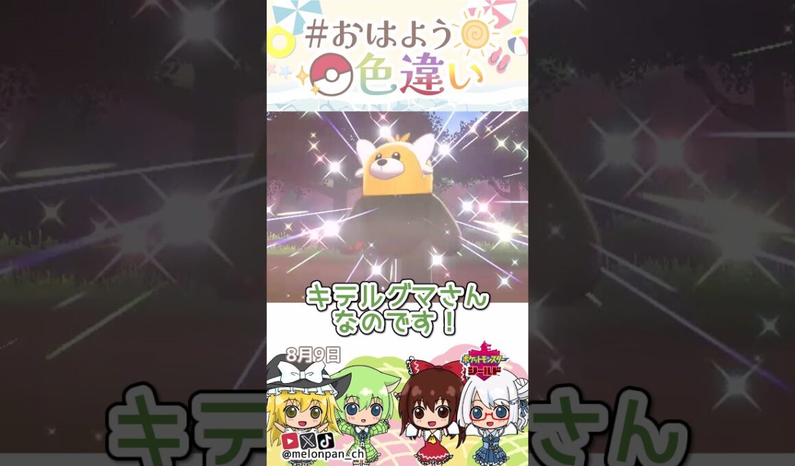 ☀️召されます！！色違いキテルグマ😇✨2026年8月9日 #おはよう色違い #おは色 #ポケモン