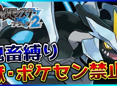 【鬼畜縛り】獄・ポケモンセンター禁止マラソン～イッシュ2編～#71【ポケモンBW2】