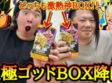 【神引き】幻のGODボックス降臨！！超低確率で存在する激レア配列をガチ神引き。レアカード大量放出の神箱が流石に凄すぎてガチ発狂www【フュージョンワールド ストーリーブースター01 開封】