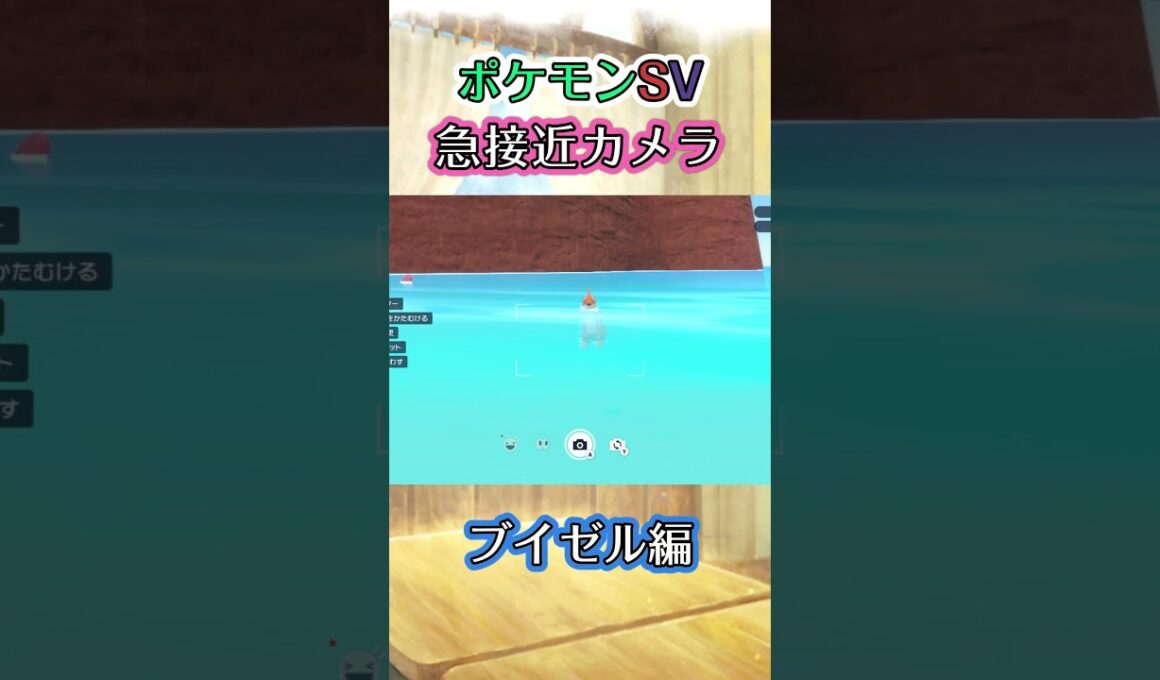 【ポケモンSV】泳ぎながらブイゼルが近づいてきてくれる動画 #ポケモン #ポケモンsv #ブイゼル #shorts