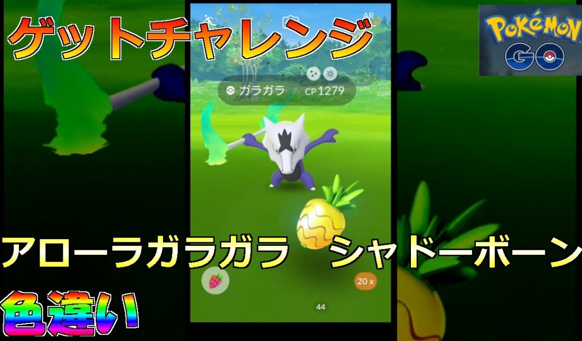 【ポケモンGO】ゲットチャレンジ アローラガラガラ　シャドーボーン 色違い