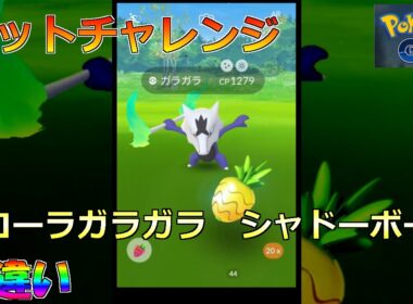 【ポケモンGO】ゲットチャレンジ アローラガラガラ　シャドーボーン 色違い