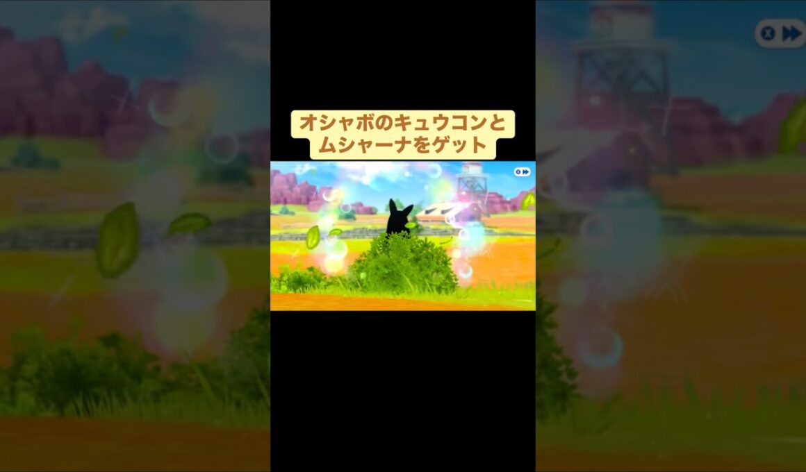 オシャボのキュウコンとムシャーナをゲット【ポケモンチャンピオンズ】