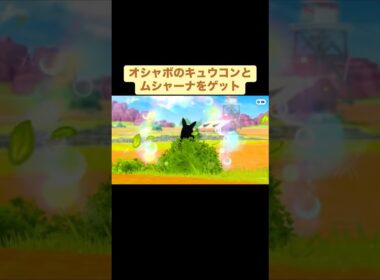 オシャボのキュウコンとムシャーナをゲット【ポケモンチャンピオンズ】
