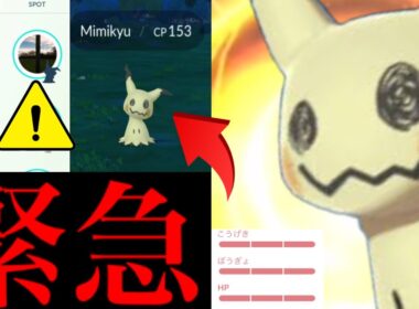 【このあと急げ⚠️】超サプライズきた！！ミミッキュが野生で大量発生！？今だけチャンスになるか・・？【ポケモンGO・エイプリルフール・Mimikyu・Pokémon GO】