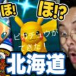 北海道で激レア色違いピカチュウ！？さらにガラルフリーザーまで出現！ANAヒトカゲがぁぁああ…【ポケモンGO】