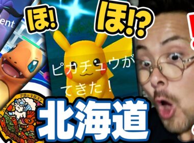 北海道で激レア色違いピカチュウ！？さらにガラルフリーザーまで出現！ANAヒトカゲがぁぁああ…【ポケモンGO】