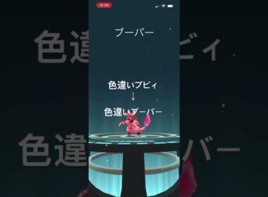 ポケモンGO 色違いブビィを色違いブーバーへ進化！ #pokémon #ポケモン #ポケモンgo