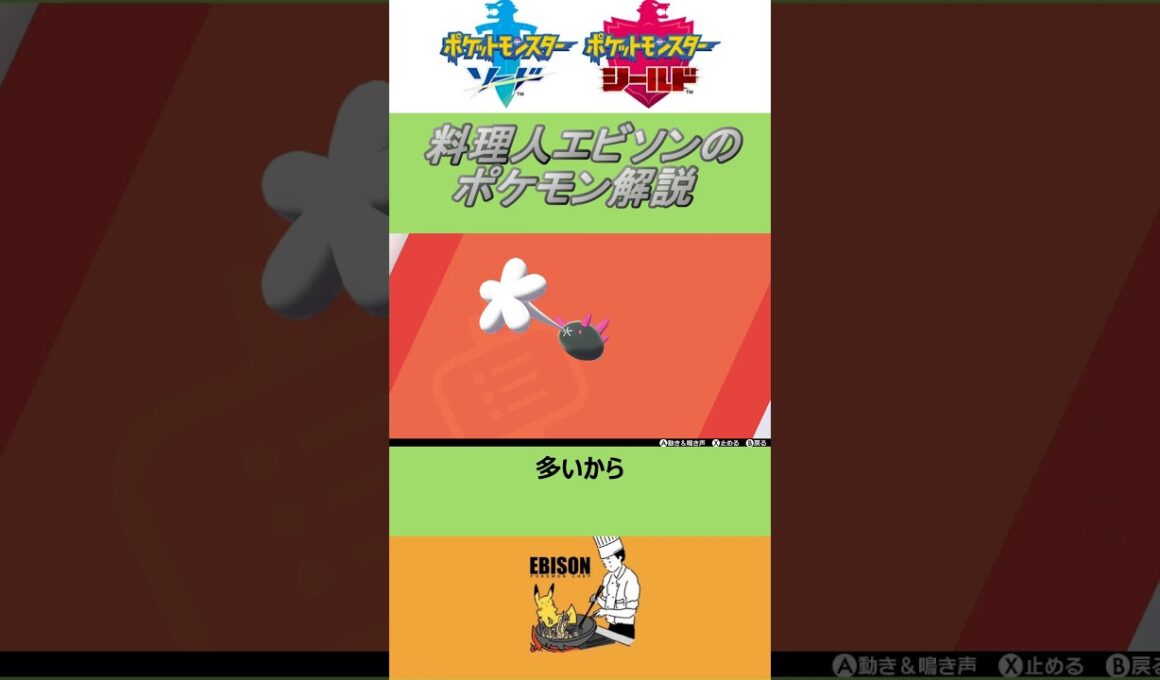 エビソンのポケモン解説　#ポケモン #ポケモン剣盾　#ソードシールド   #ナマコブシ