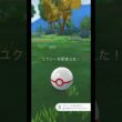 ユクシーの色違い…きたー