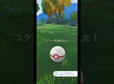 ユクシーの色違い…きたー