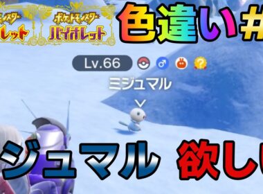 【ポケモンSV】色違いミジュマルが欲しい#6【ポケットモンスタースカーレット・バイオレット】