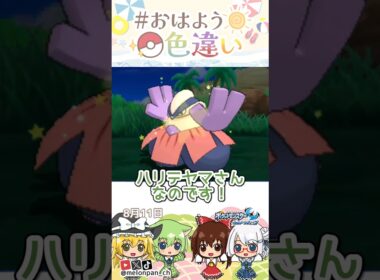 ☀️強くて優しい！！色違いハリテヤマ⛰️✨2026年8月11日 #おはよう色違い #おは色 #ポケモン