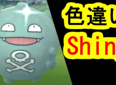 ドガースの色違い(ポケモンGO、PokemonGO)