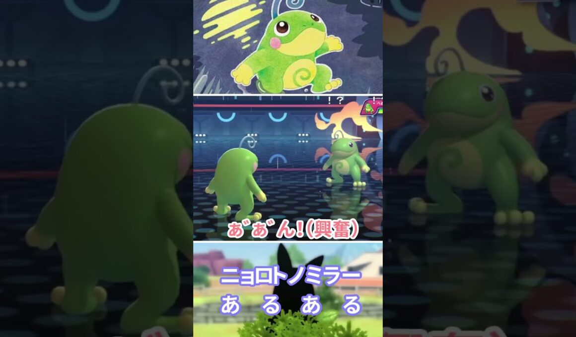 ニ　ョ　ロ　ト　ノ　ミ　ラ　ー　あ　る　あ　る【ポケモンチャンピオンズ】