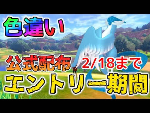 【公式配布】色違いガラルフリーザーが貰えるので忘れずに参加しよう！【ポケモン剣盾/ソードシールド】