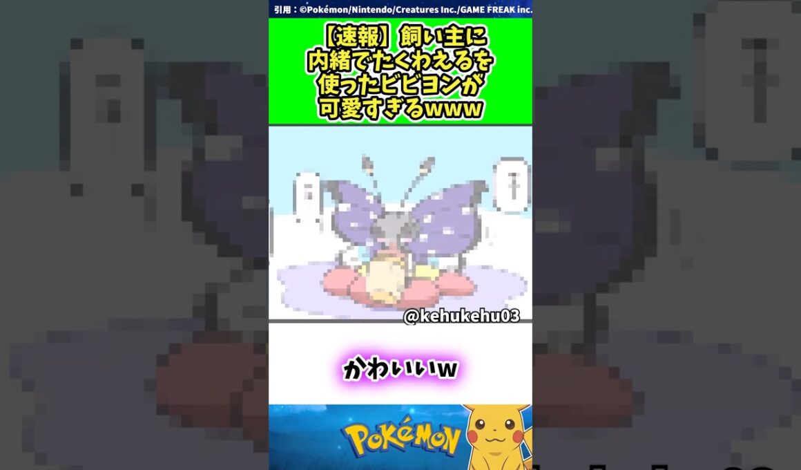 【速報】飼い主に内緒でたくわえるを使ったビビヨンが可愛すぎるwww