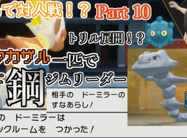 人入ってる？　ブリダイを『ヒコザル』一匹で攻略するようです　Part 10【ポケモンダイパリメイク】「縛りプレイ」