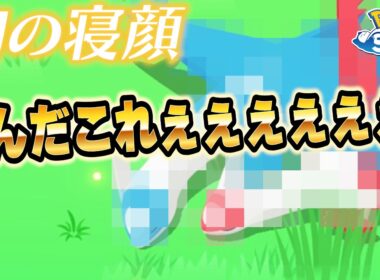 【ネタバレ】最高のラティオスイベントとなりました！【ポケモンスリープ】