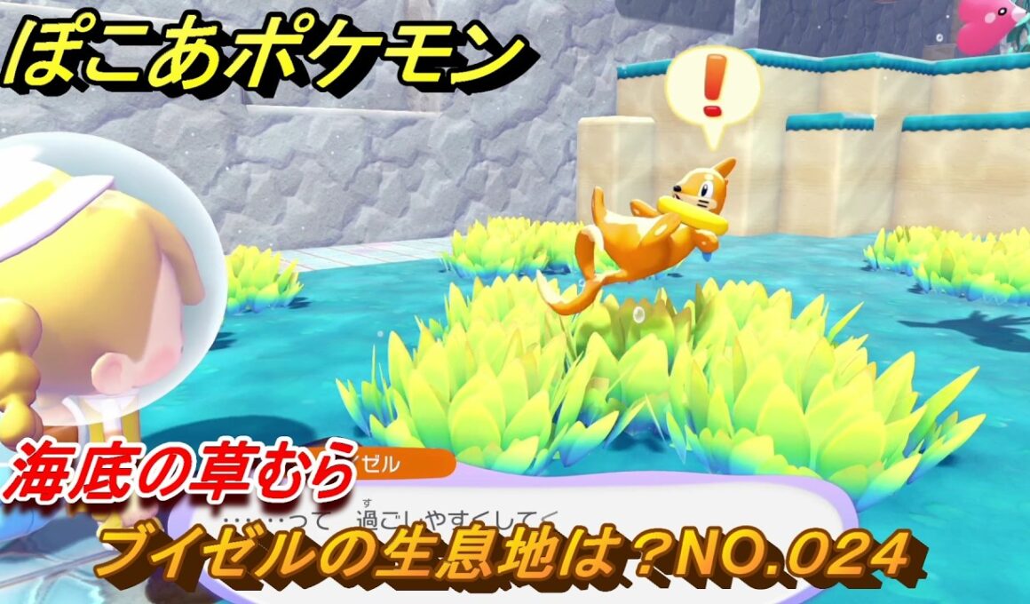 ぽこあポケモン　ブイゼルの生息地は？NO.０２４　海底の草むら　ブクブクうみぞこの街　＃２０　【ぽこポケDLC】