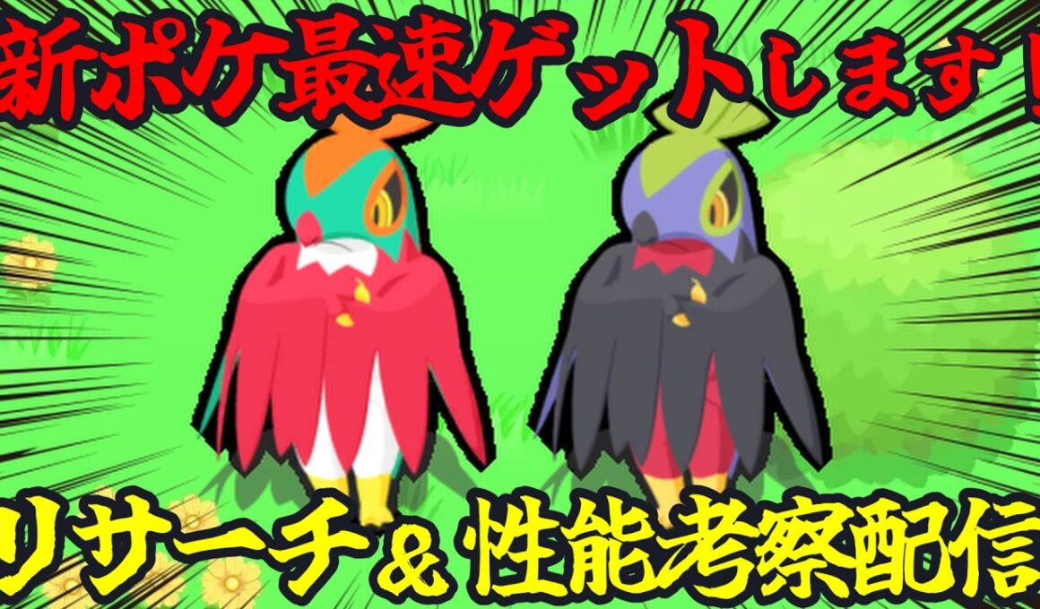 新ポケモン｢ルチャブル｣最速ゲットリサーチ＆考察配信 14:45～
