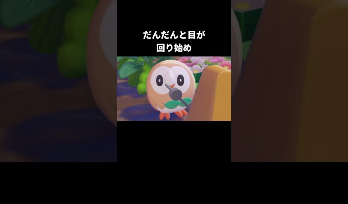目が周り始めてしまうモクロー【ぽこあポケモン】