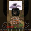 ボタンを押すとペットとしてベトベトンかピカチュウが自分の部屋に来るボタン押す？