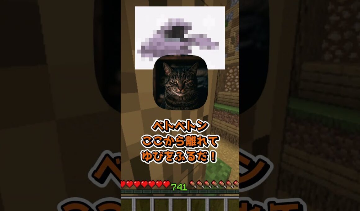 ボタンを押すとペットとしてベトベトンかピカチュウが自分の部屋に来るボタン押す？