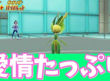 【ポケモンSV】子供時代に進化方法がわからなかったハハコモリを10年越しくらいに使ってみたら悲劇が待ってました。