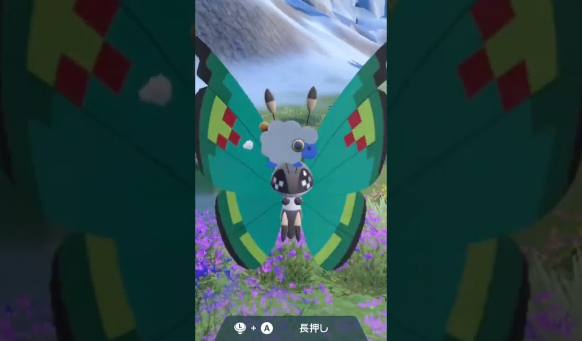 ビビヨン 庭園の模様 Vivillon【ポケモンsv】