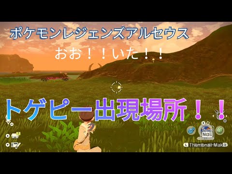 ポケモンレジェンズアルセウス「トゲピー」出現場所！！捕獲に行きます！
