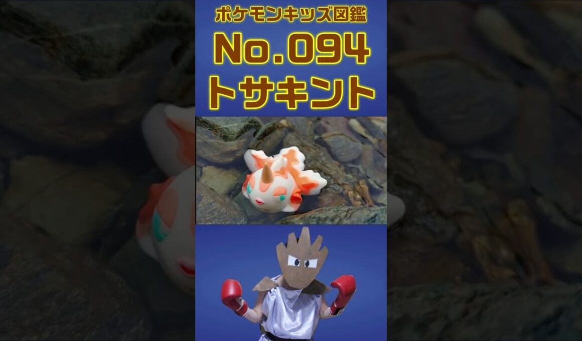 ポケモン実体図鑑No 094トサキント #ポケモンキッズ#トサキント
