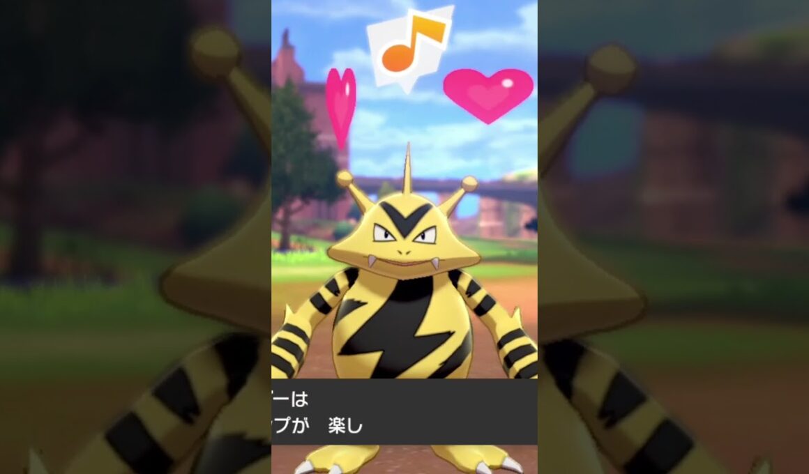 エレブー Electabuzz【ポケモン剣盾】