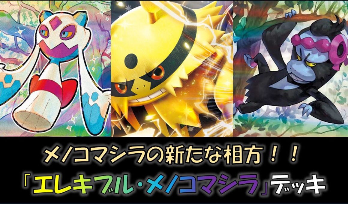 【ジムバ優勝】『エレキブル・メノコマシラ』デッキをご紹介！