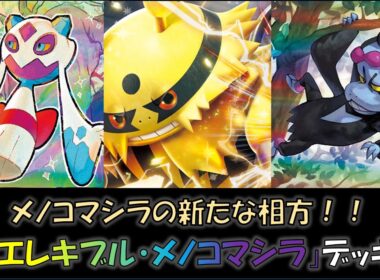【ジムバ優勝】『エレキブル・メノコマシラ』デッキをご紹介！