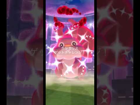 【Pokémon GO】 Shiny Skwovet GET✨