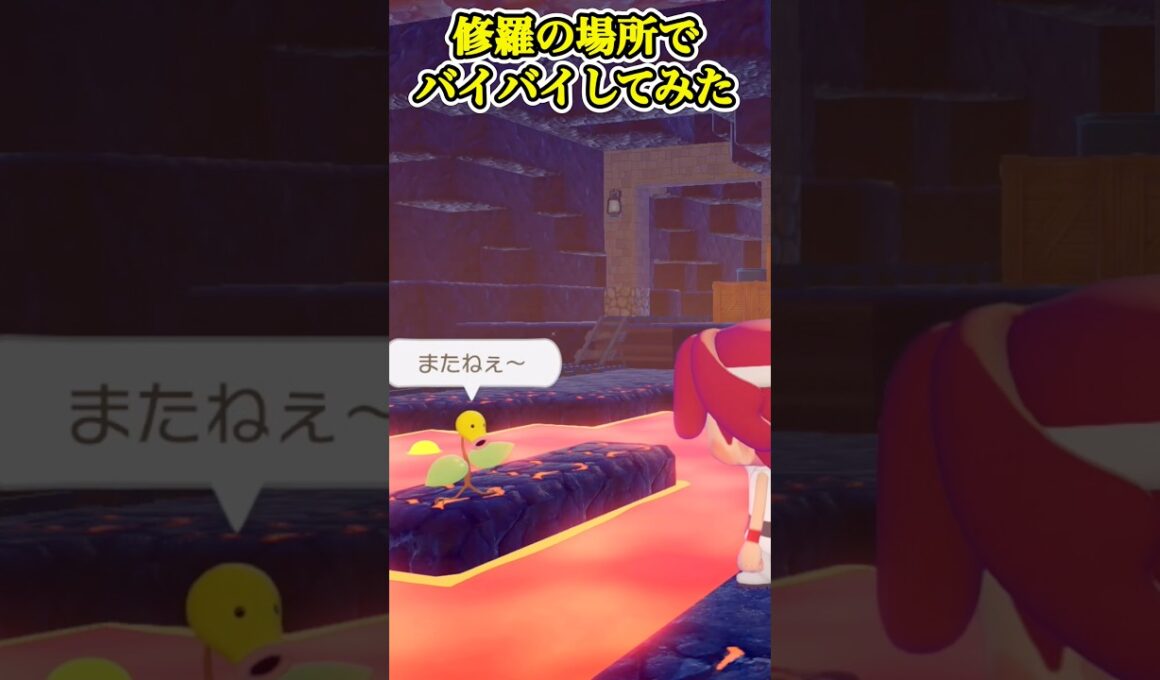 【ぽこあポケモン】修羅の場所でバイバイして無事に帰れるのか検証【マダツボミ】