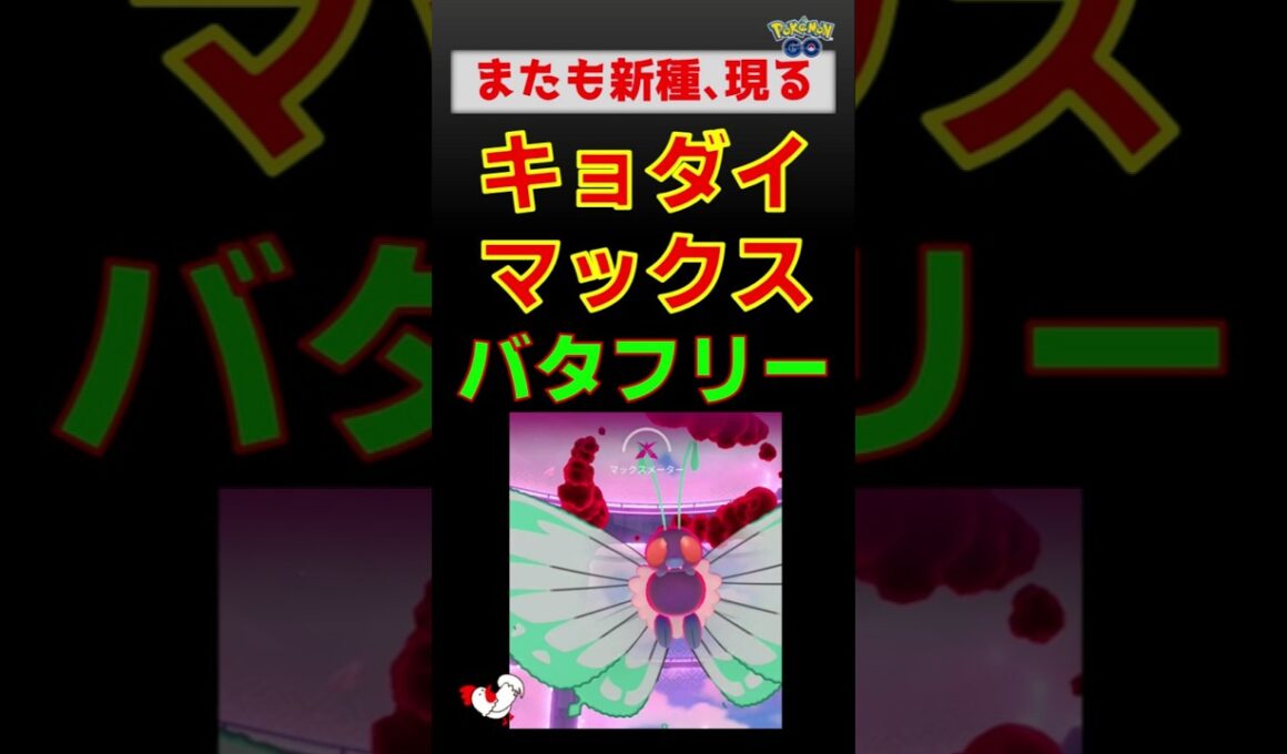 【キョダイマックス バタフリー！初ゲット】 #ポケモンgo #pokemongo #ポケモン #ダイマックス #バタフリー #ザシアン #ザマゼンタ #ハピナス