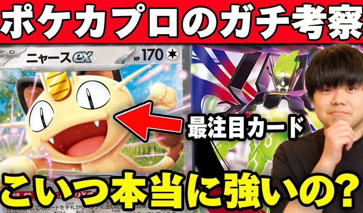 【新環境】1番注目されてるニャースってほんとに強いの…？ポケカプロが徹底考察してみた😼