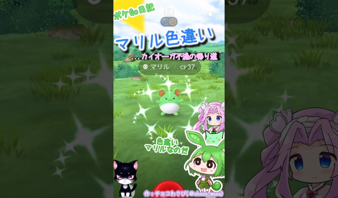 【ポケGO日記】色違いマリルGETなのだ！...カイオーガ不漁の帰り道にて💧