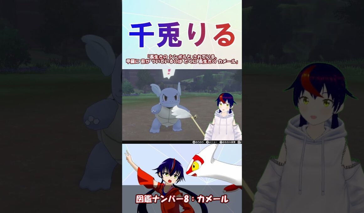 【 #vtuber / りるポケ図鑑 】図鑑No8カメール【 #ポケットモンスター #pokemon  #ポケモン  #shorts   】