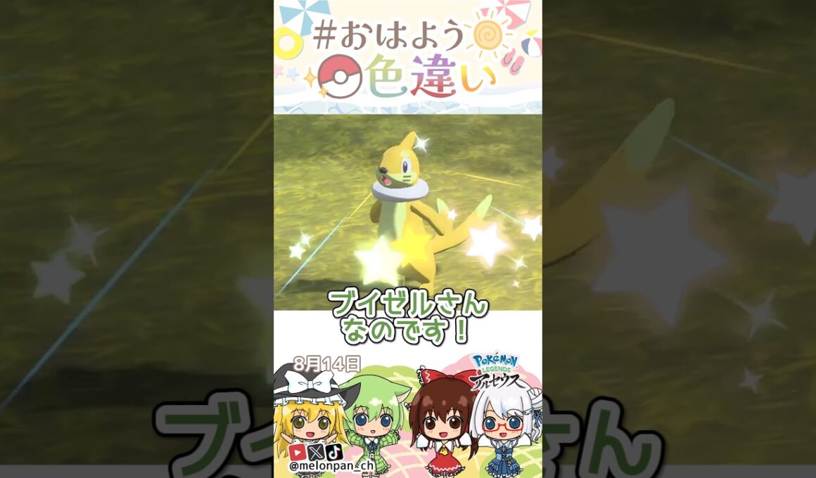 ☀️くるくるスイスイ！！色違いブイゼル🏊‍♀️✨2026年8月14日 #おはよう色違い #おは色 #ポケモン