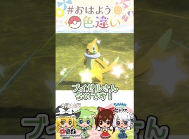 ☀️くるくるスイスイ！！色違いブイゼル🏊‍♀️✨2026年8月14日 #おはよう色違い #おは色 #ポケモン