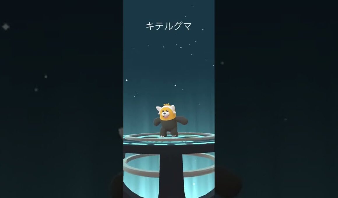 【Pokémon GO】Shiny Stufful → Bewear Evolve 🔥