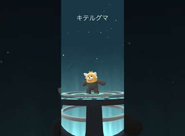 【Pokémon GO】Shiny Stufful → Bewear Evolve 🔥