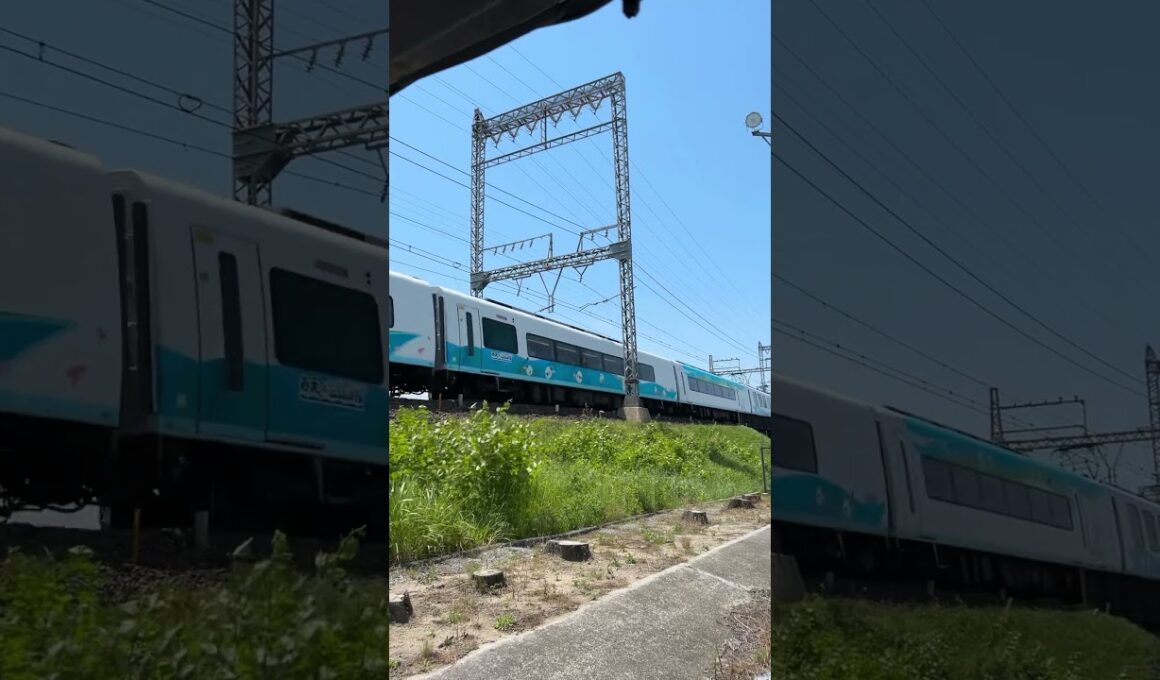 こいつは突然やってくる🚃#ミジュマルライナー#ミジュマル#近鉄特急#電車#特急#伊勢志摩#23000系