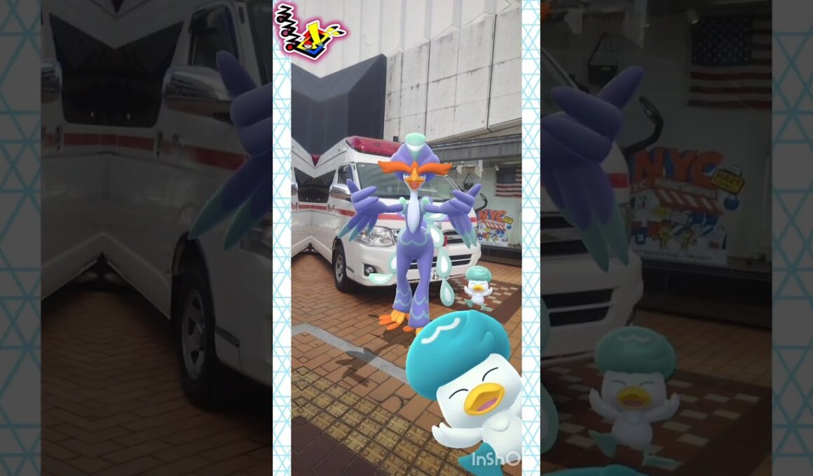 ぺラップTimeは17:00から🐦 #pokemongo